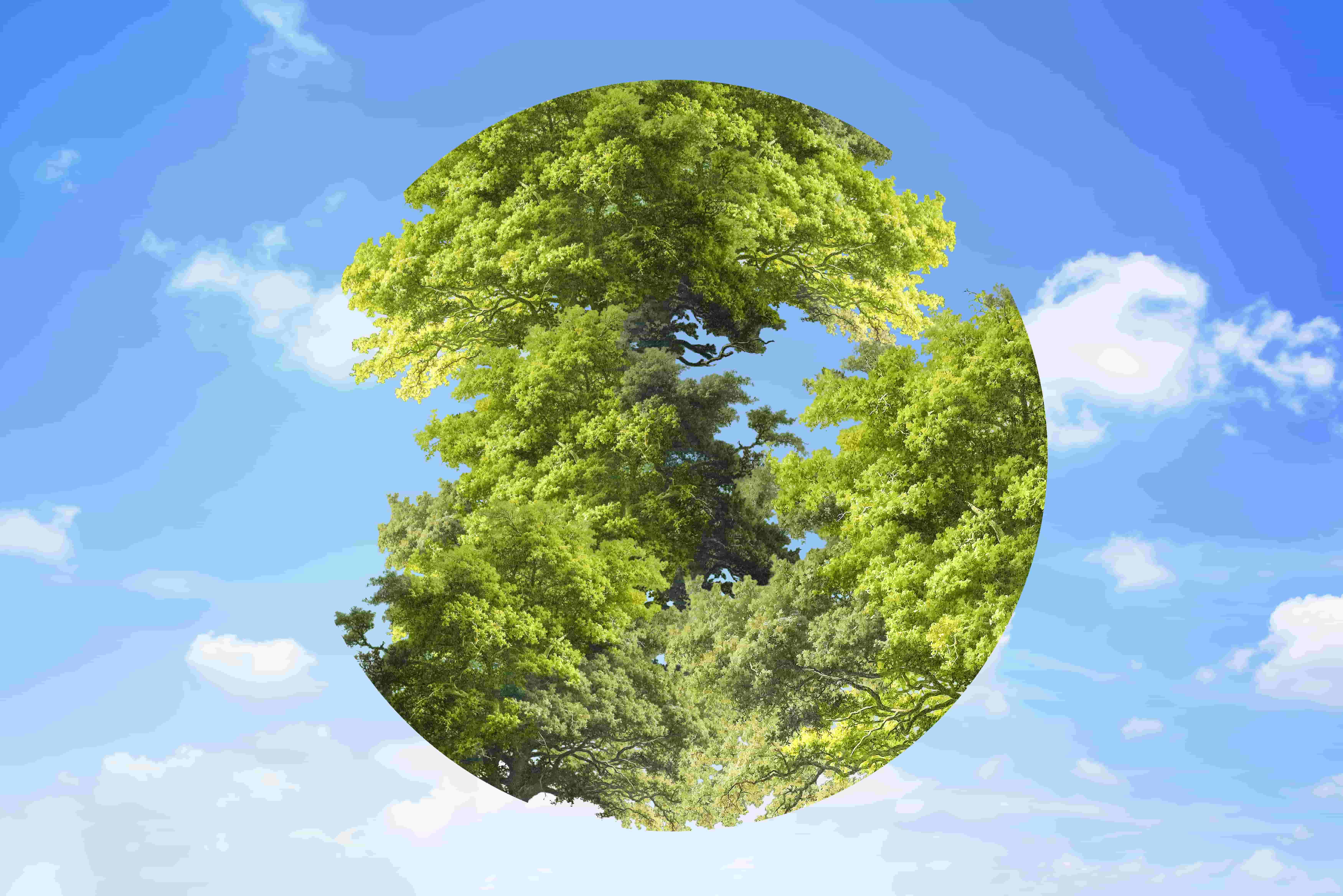 ESG Rollback in Europe Triggers Investor Legal Strategy Shift