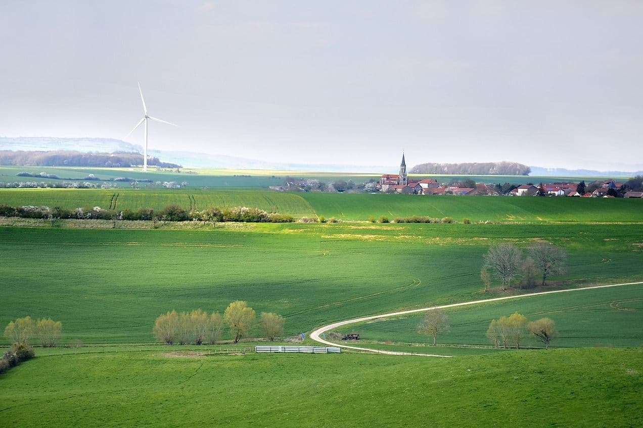 Business Model Innovation for Sustainable Landscape Restoration