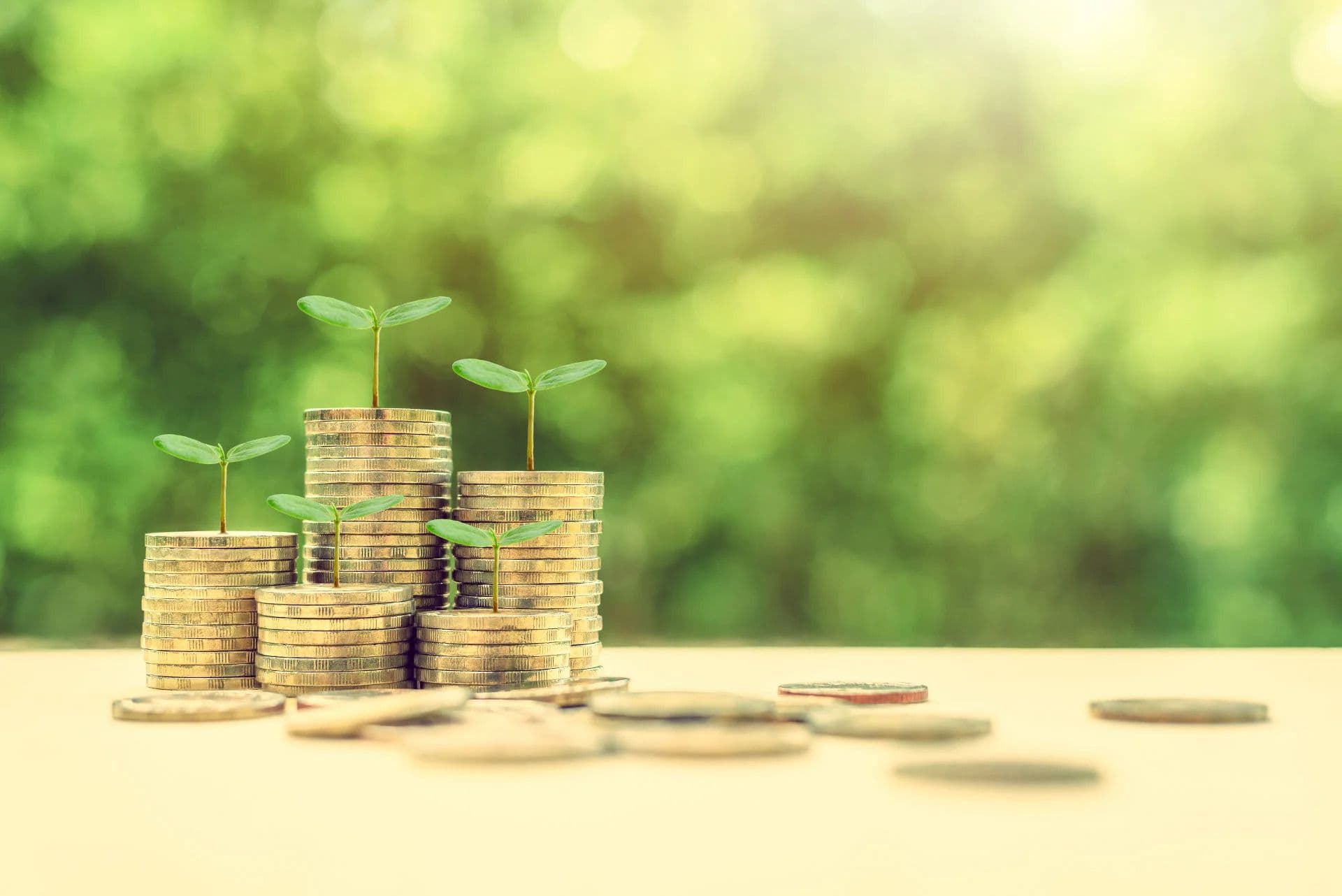Impact and Sustainable Investing