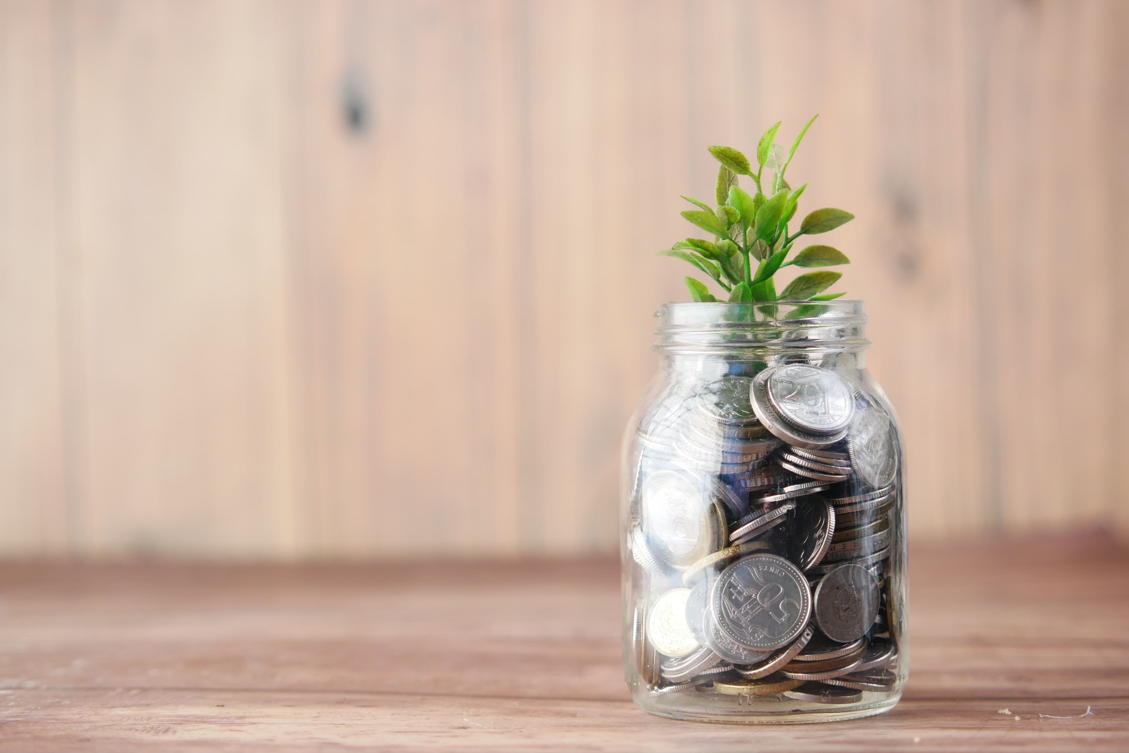15 Environmentally Sustainable Cryptocurrencies To Invest In Right Now