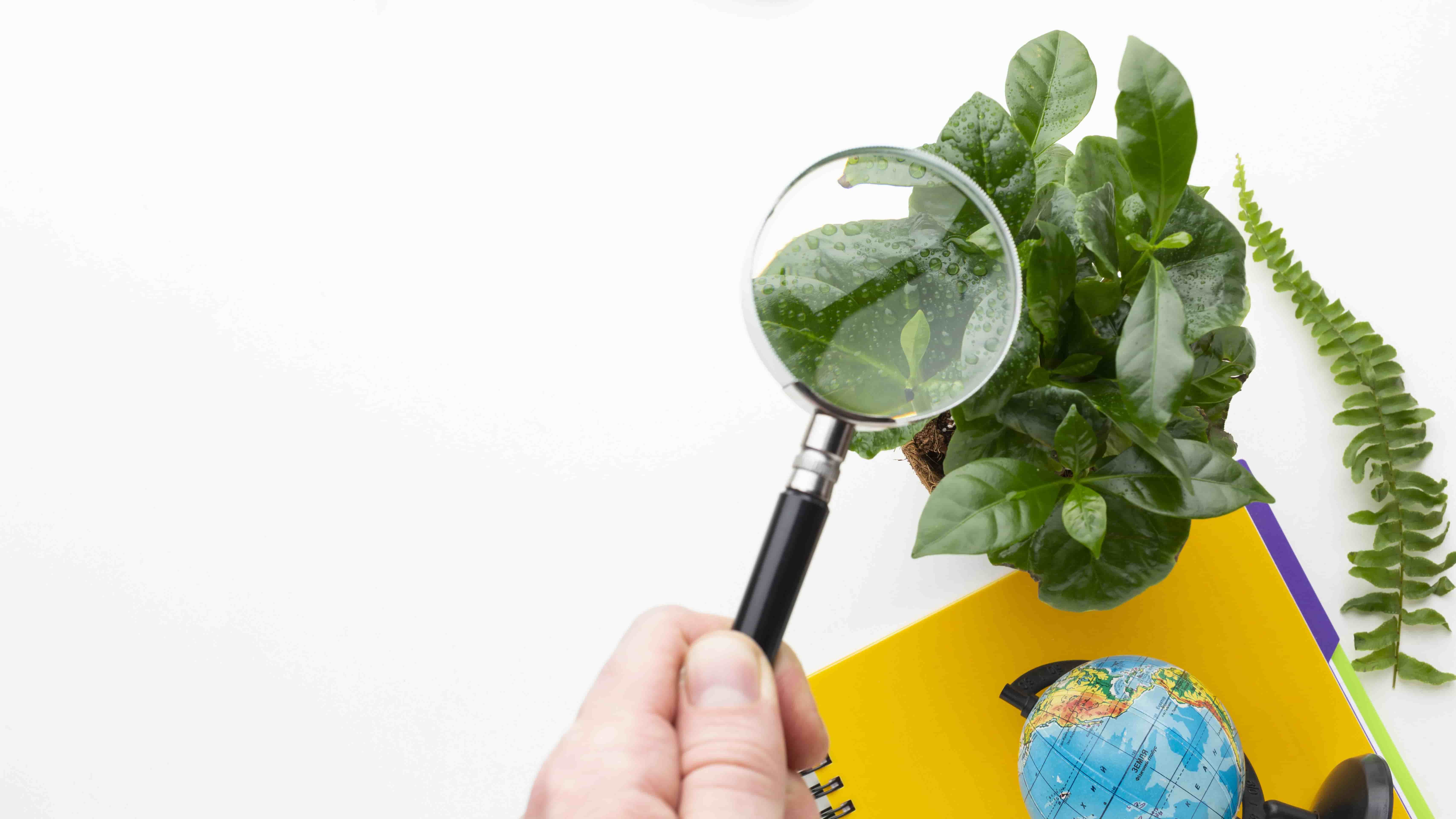 Greenwashing Warning: Shareholders Push UPS for Transparency