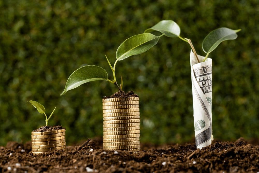 VARO's First Green Loan Boosts Biogas Growth