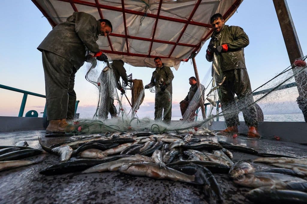 Mars, Cargill Back WWF Fisheries Initiative