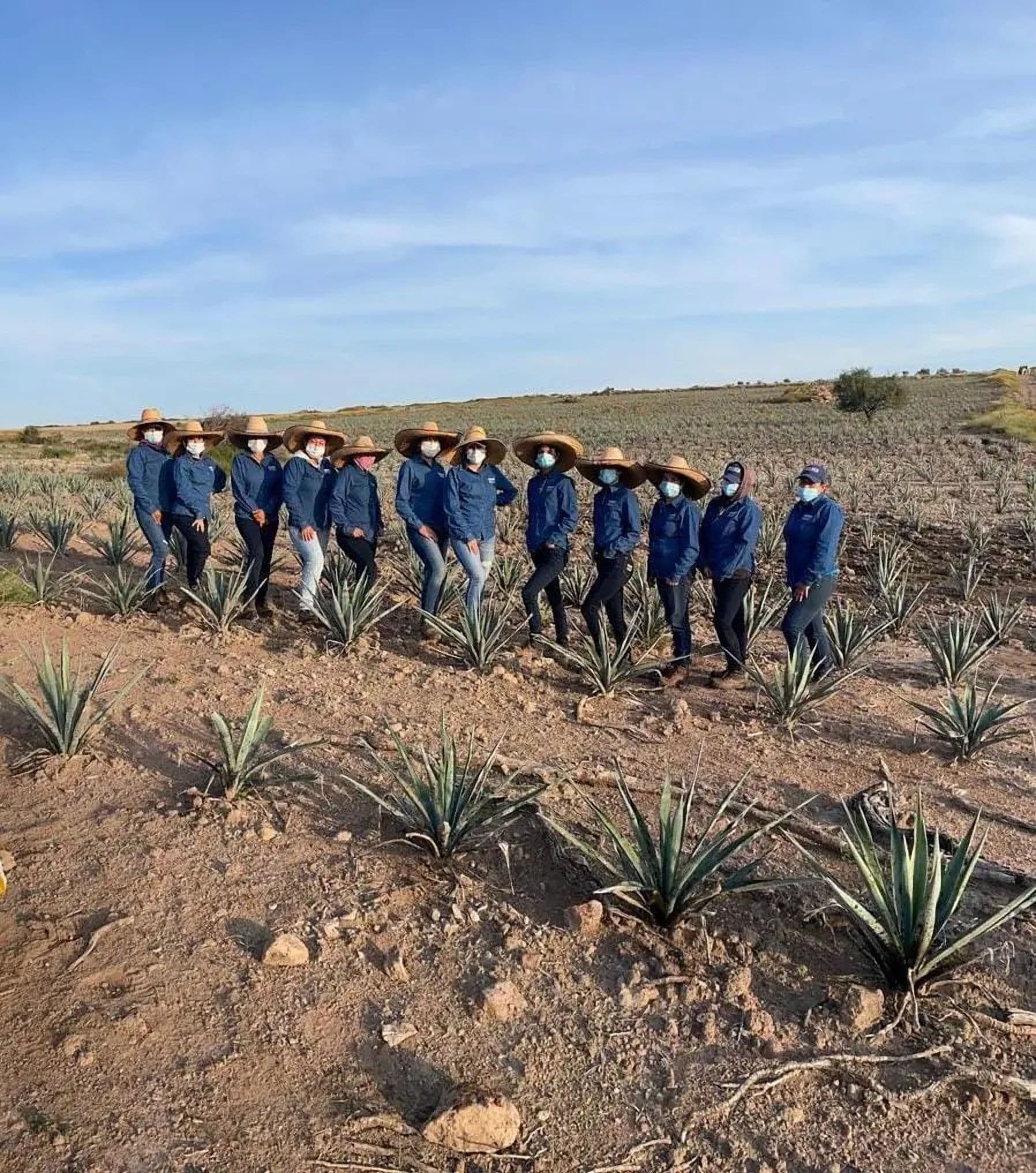 Diageo Recognised for Inclusion and Diversity Progress