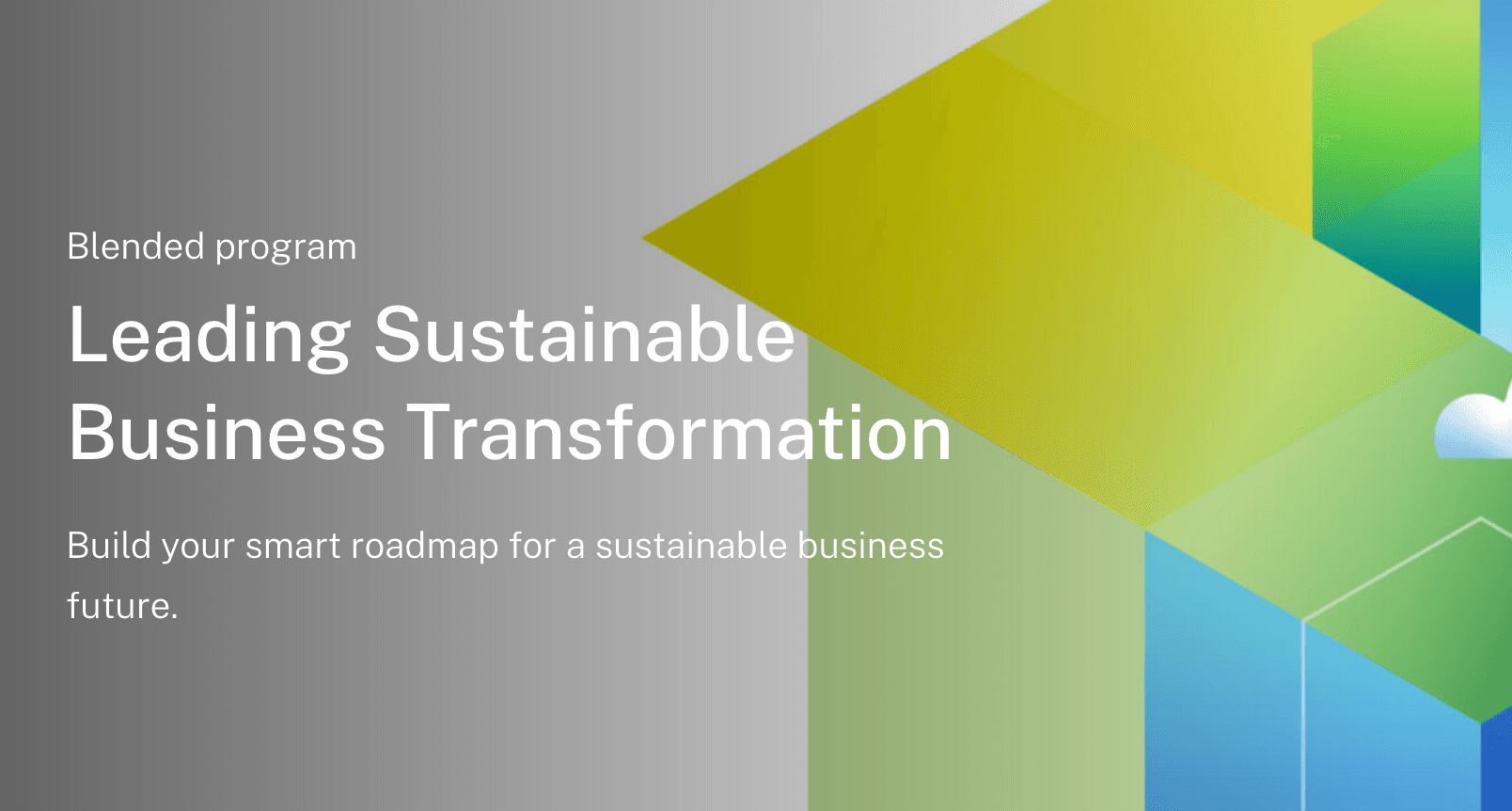 Sustainability certificate: Leading Sustainable Business Transformation