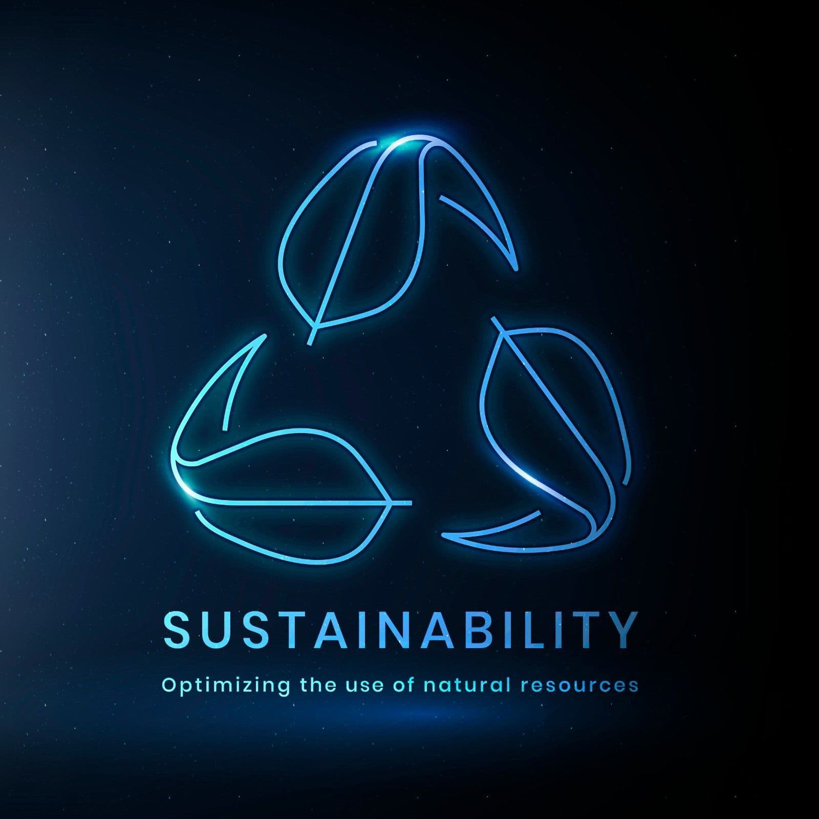Sustainability Certificate Program