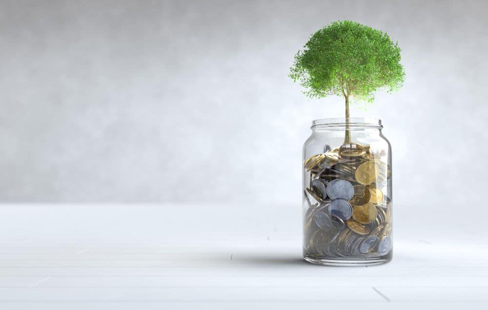 ESG Investing: Still Confusing, Says CFS Survey