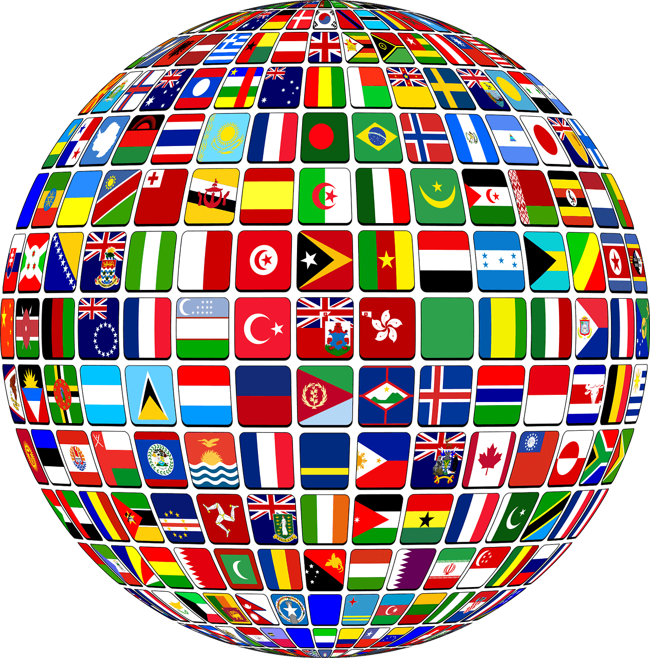 COP27 and the G20 Summit
