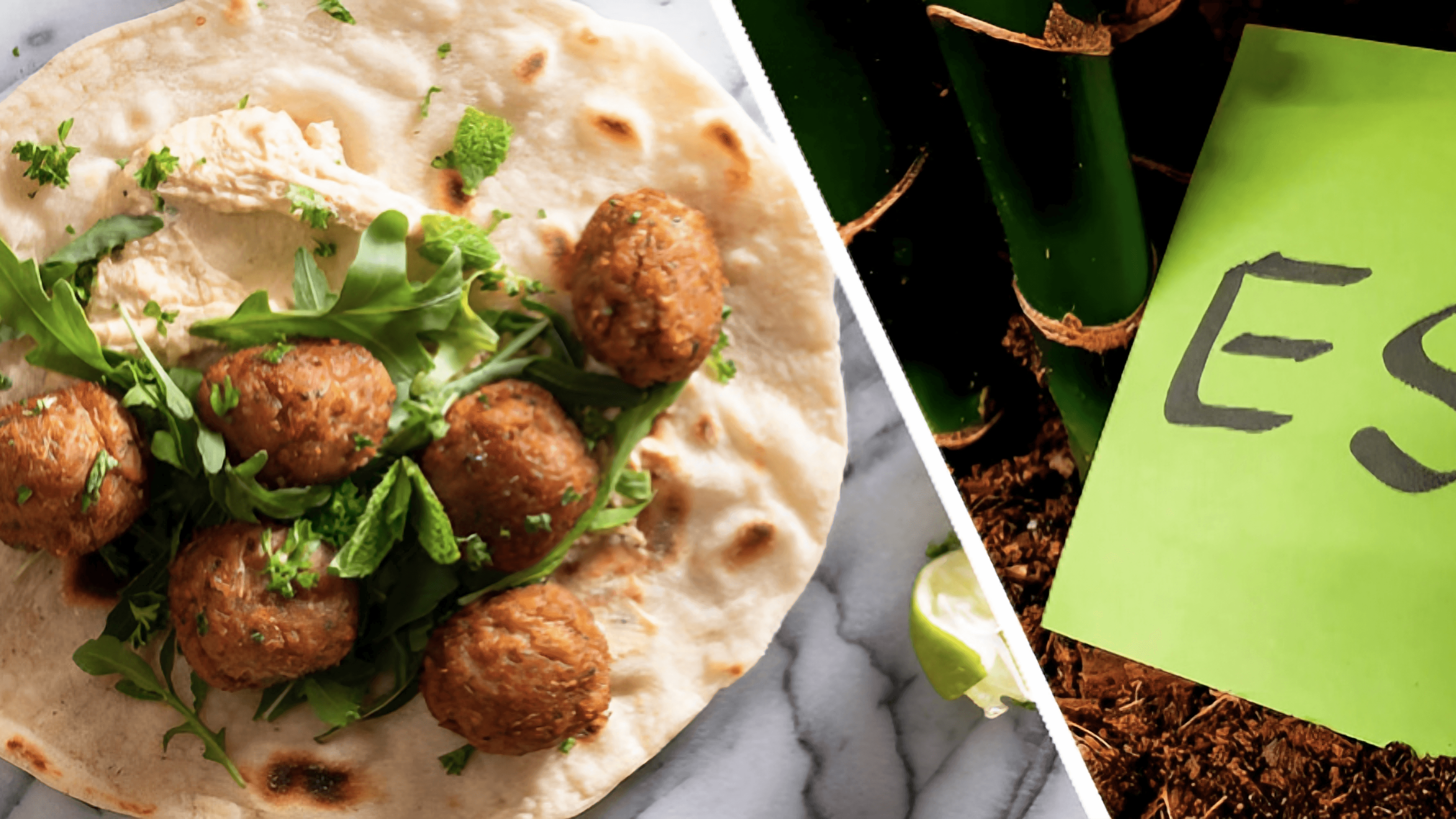 Plant-Based Protein & ESG Investing: Lessons from Falafel