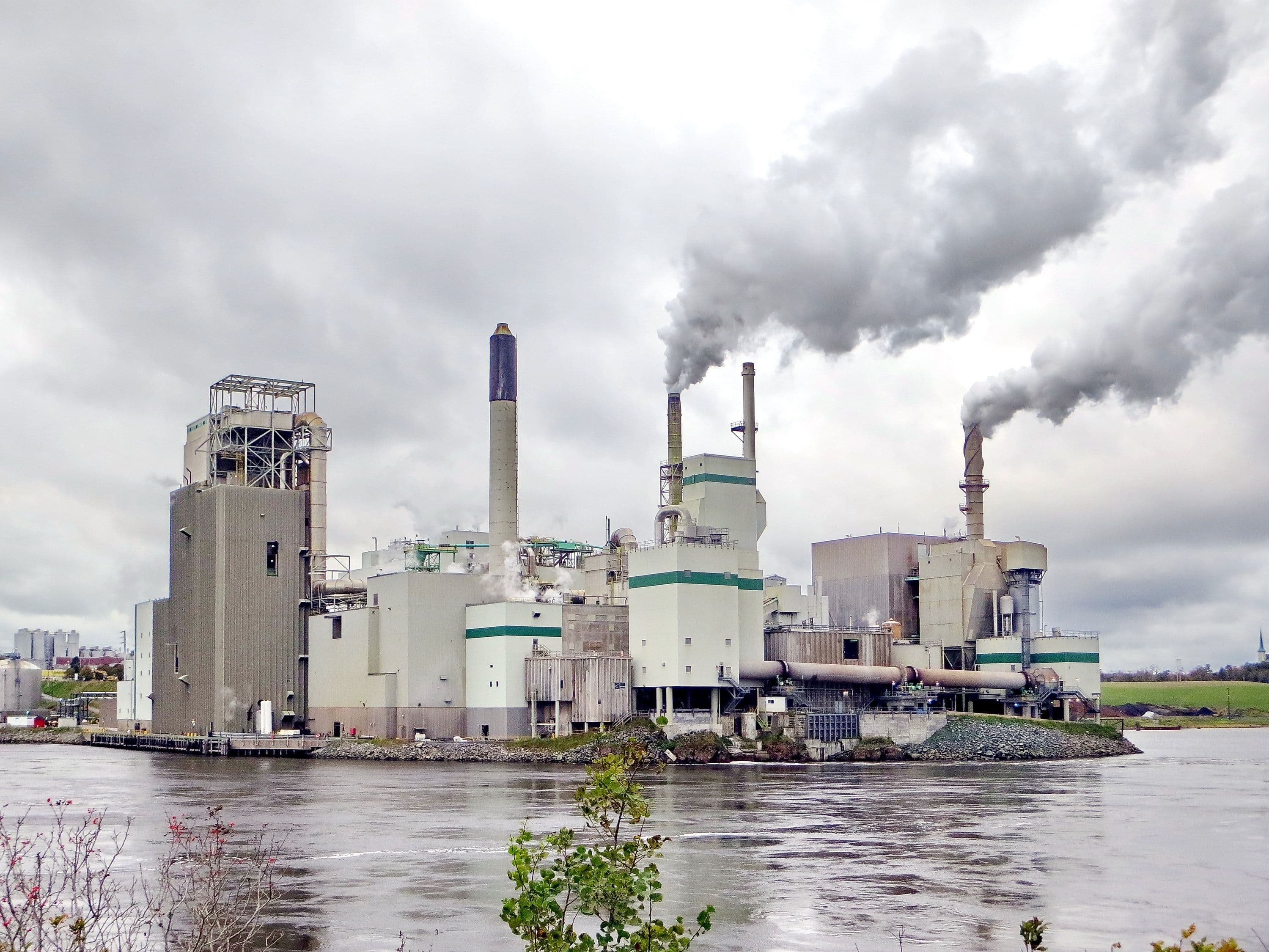 SEC's Proposed Rule Changes Seek to Curb Greenwashing