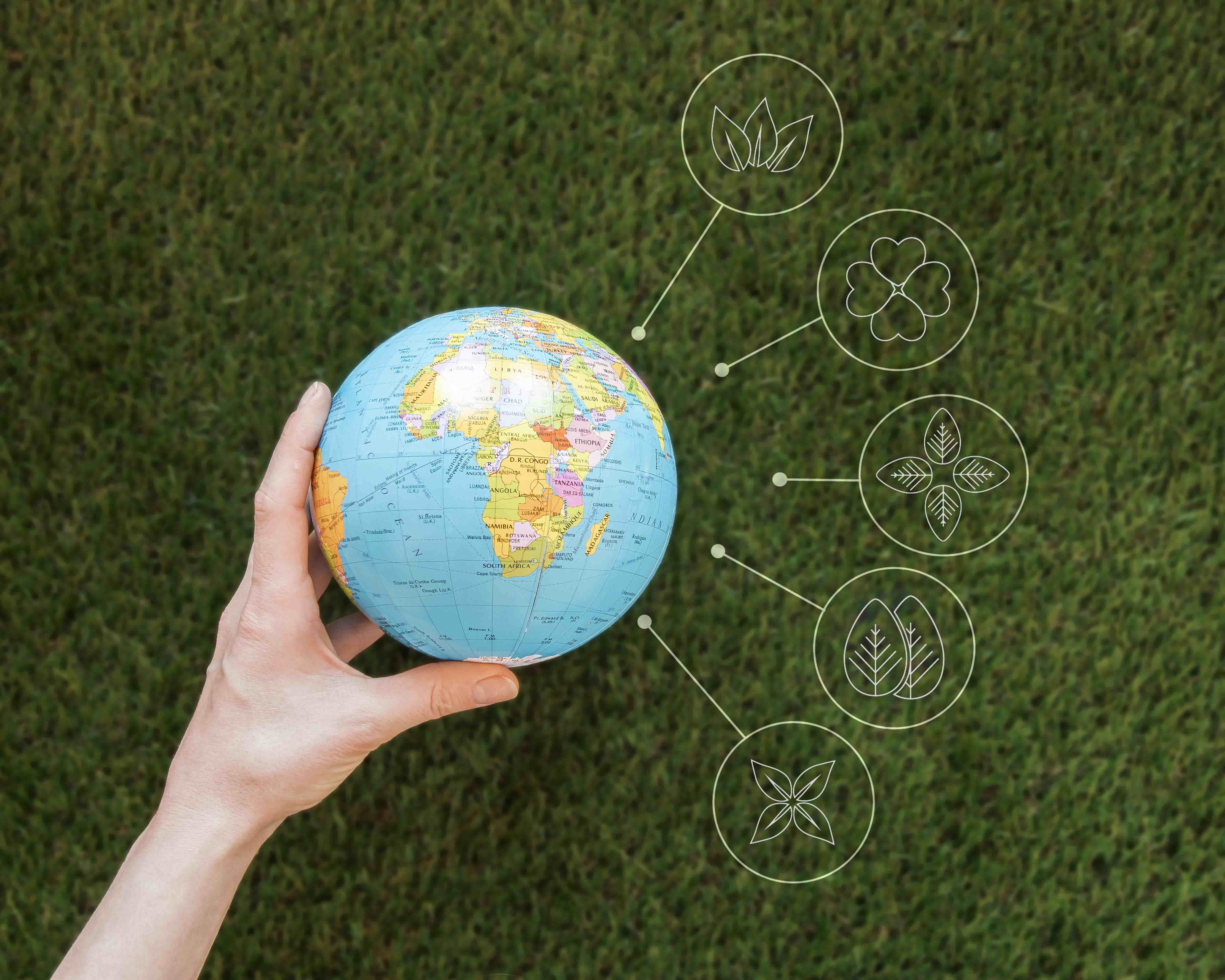How ESG Efforts Create Value For Businesses