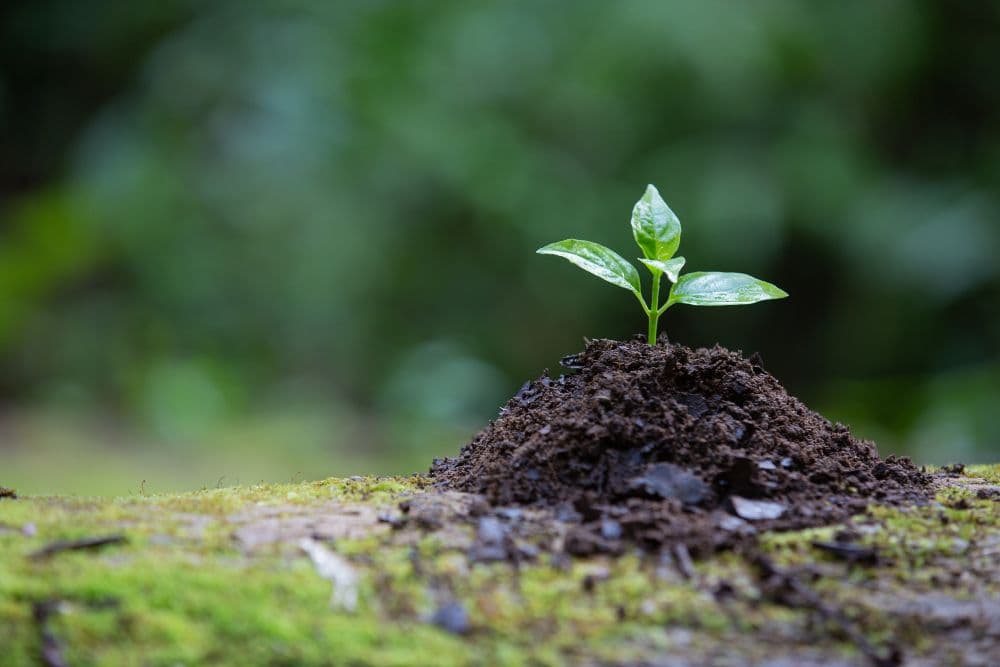 Emeren Group Publishes 2022 ESG Report