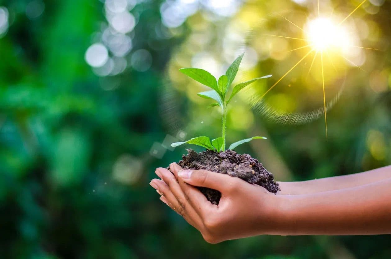 Zevero Raises $7M to Expand Carbon Accounting Solutions