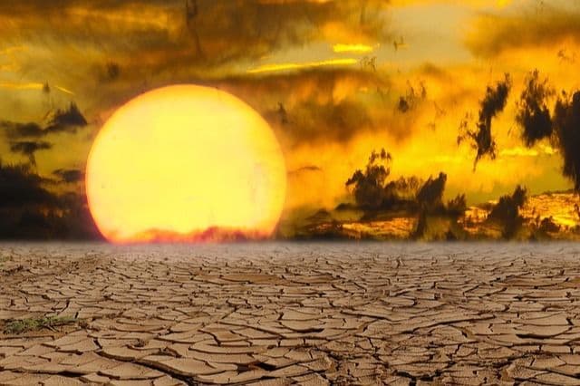 Climate Change Mitigation in Developing Countries