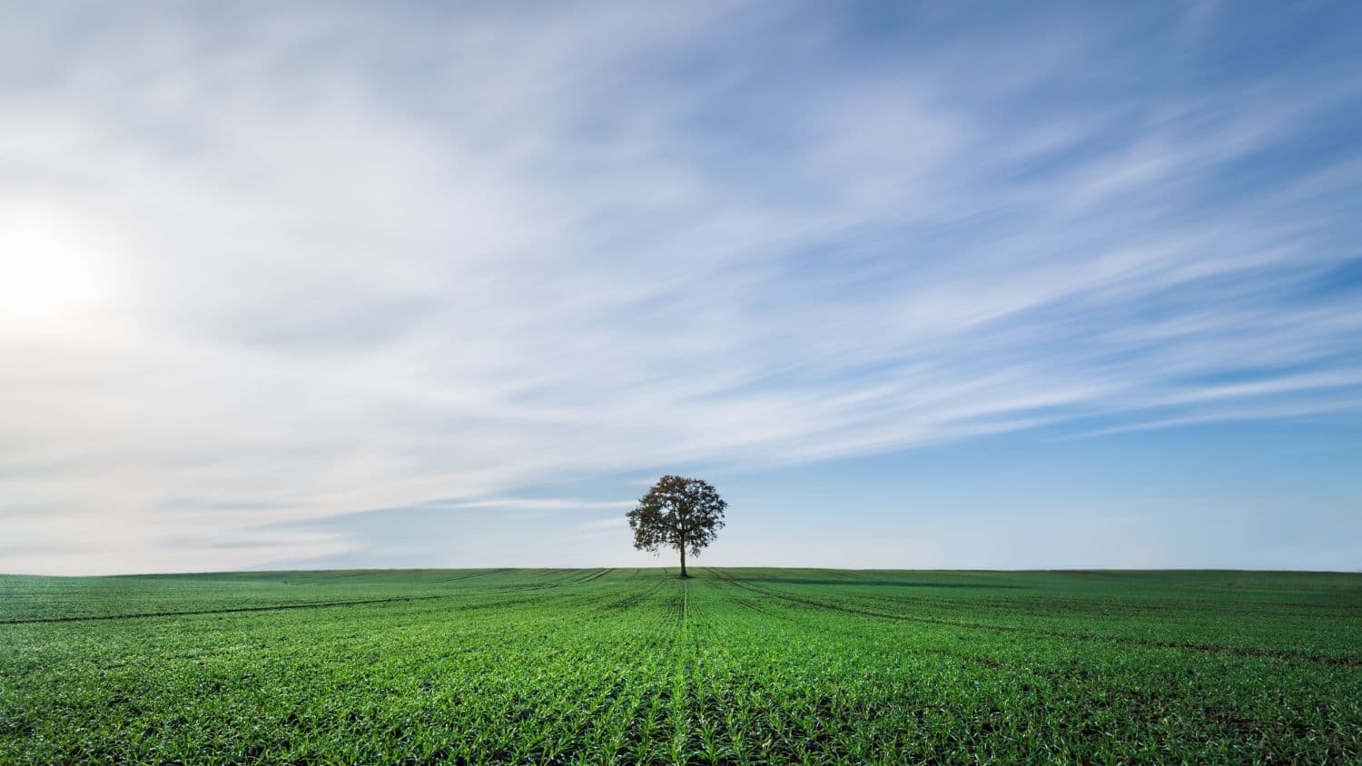 What is the ESG movement all about?