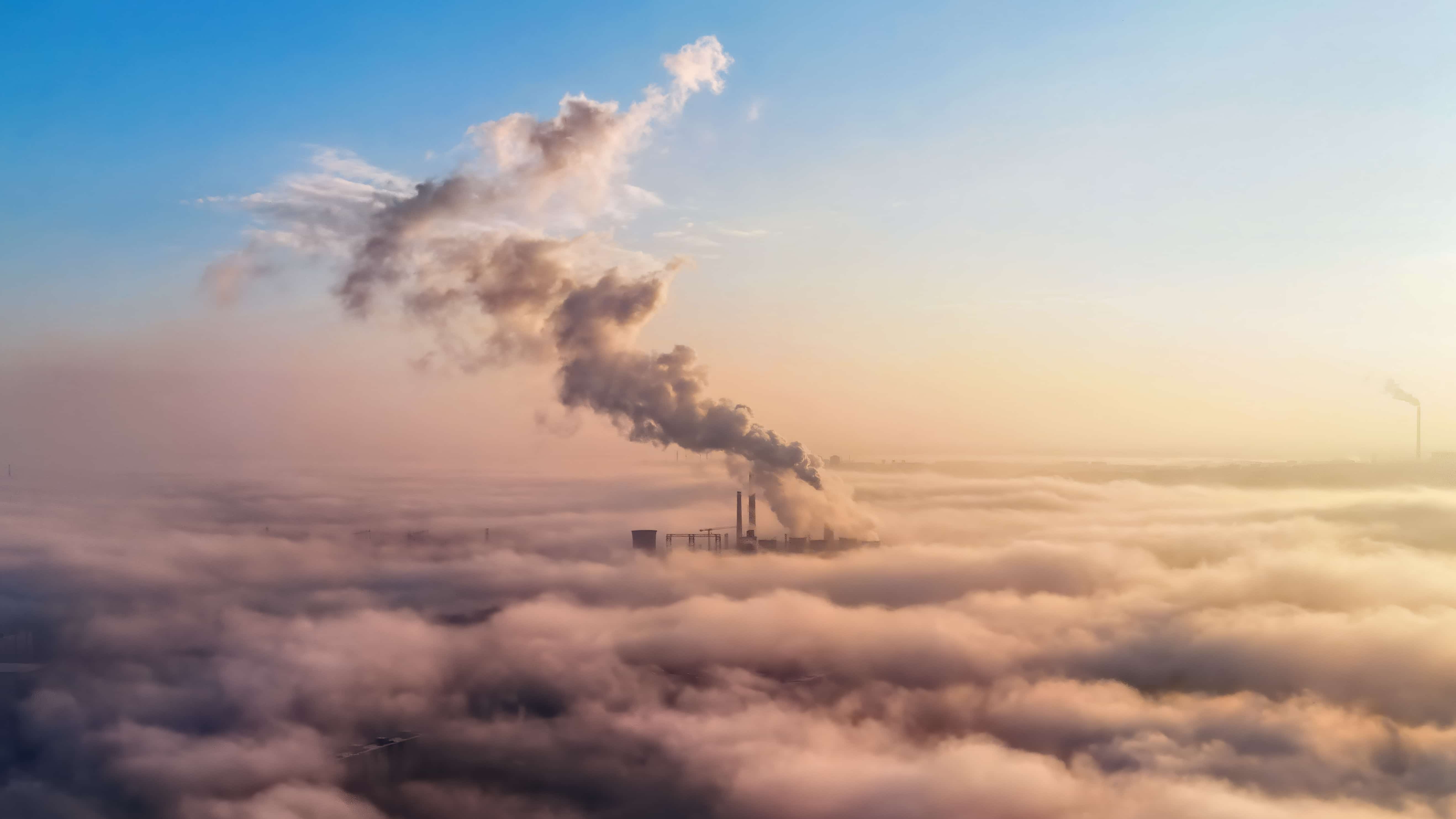 Amazon Faces Climate Setback as Carbon Emissions Climb Again