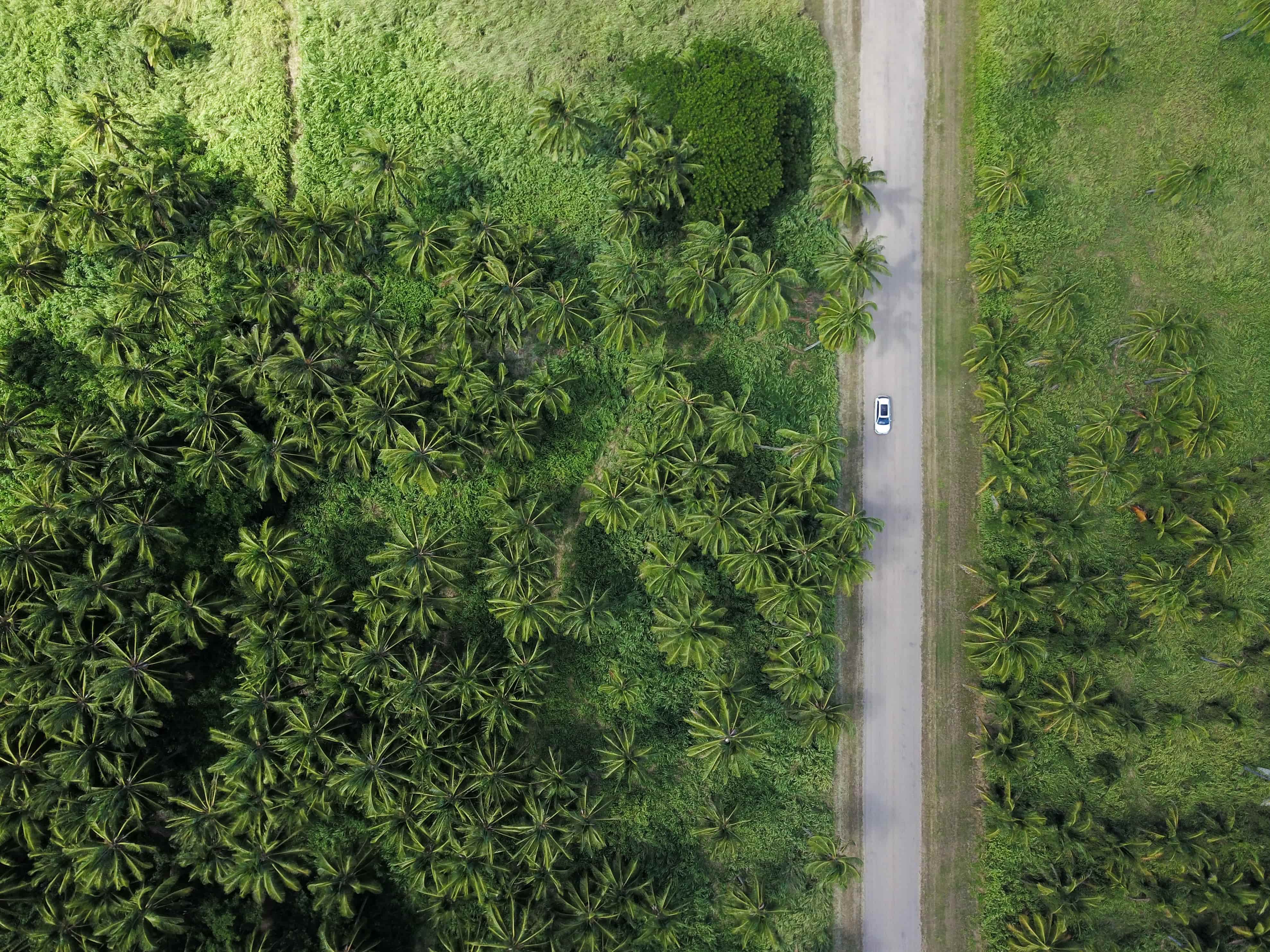 Gold Resource Corporation Releases First ESG Report
