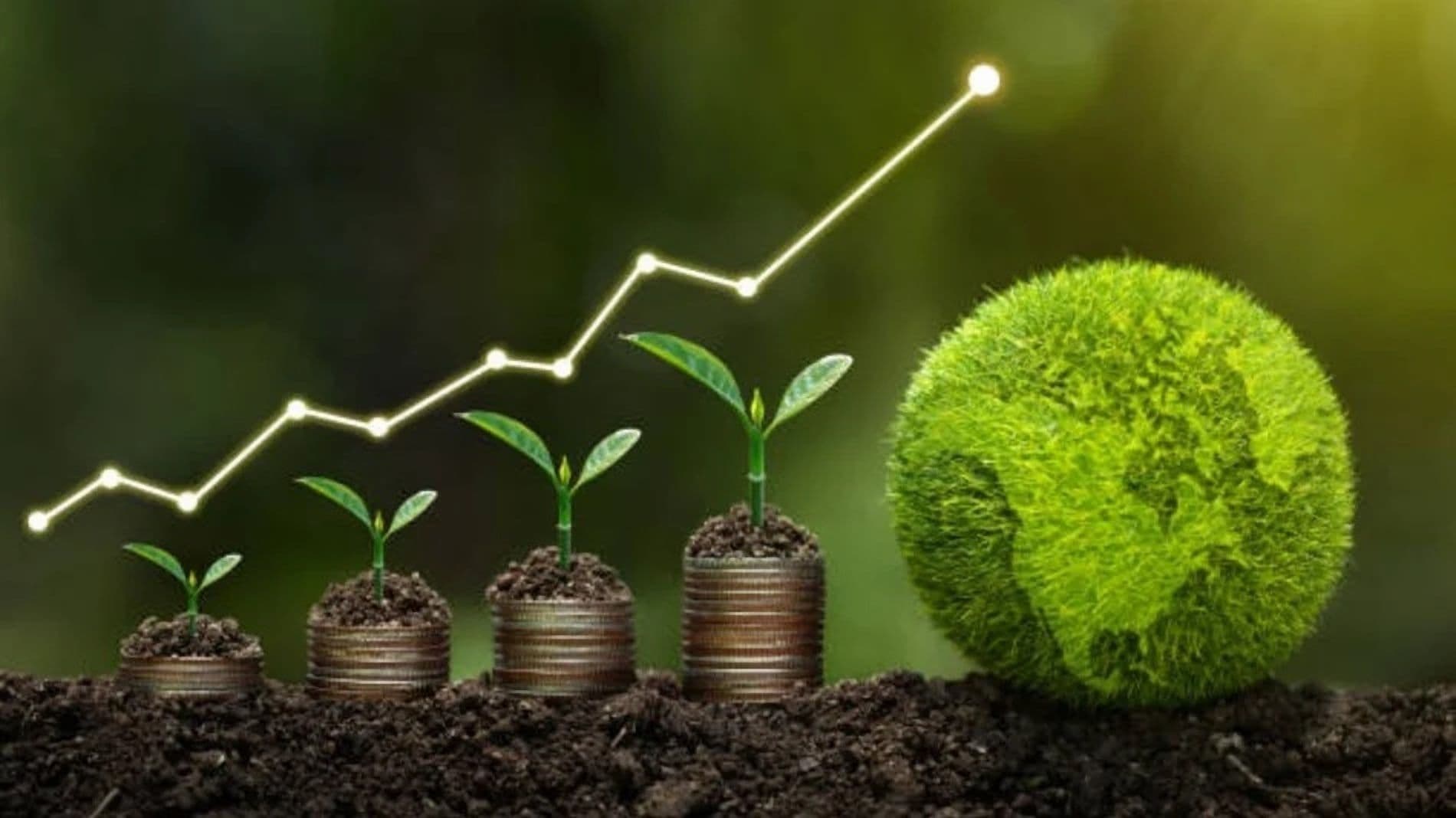 Arup, Re:Co Team Up on Digital Tools for ESG