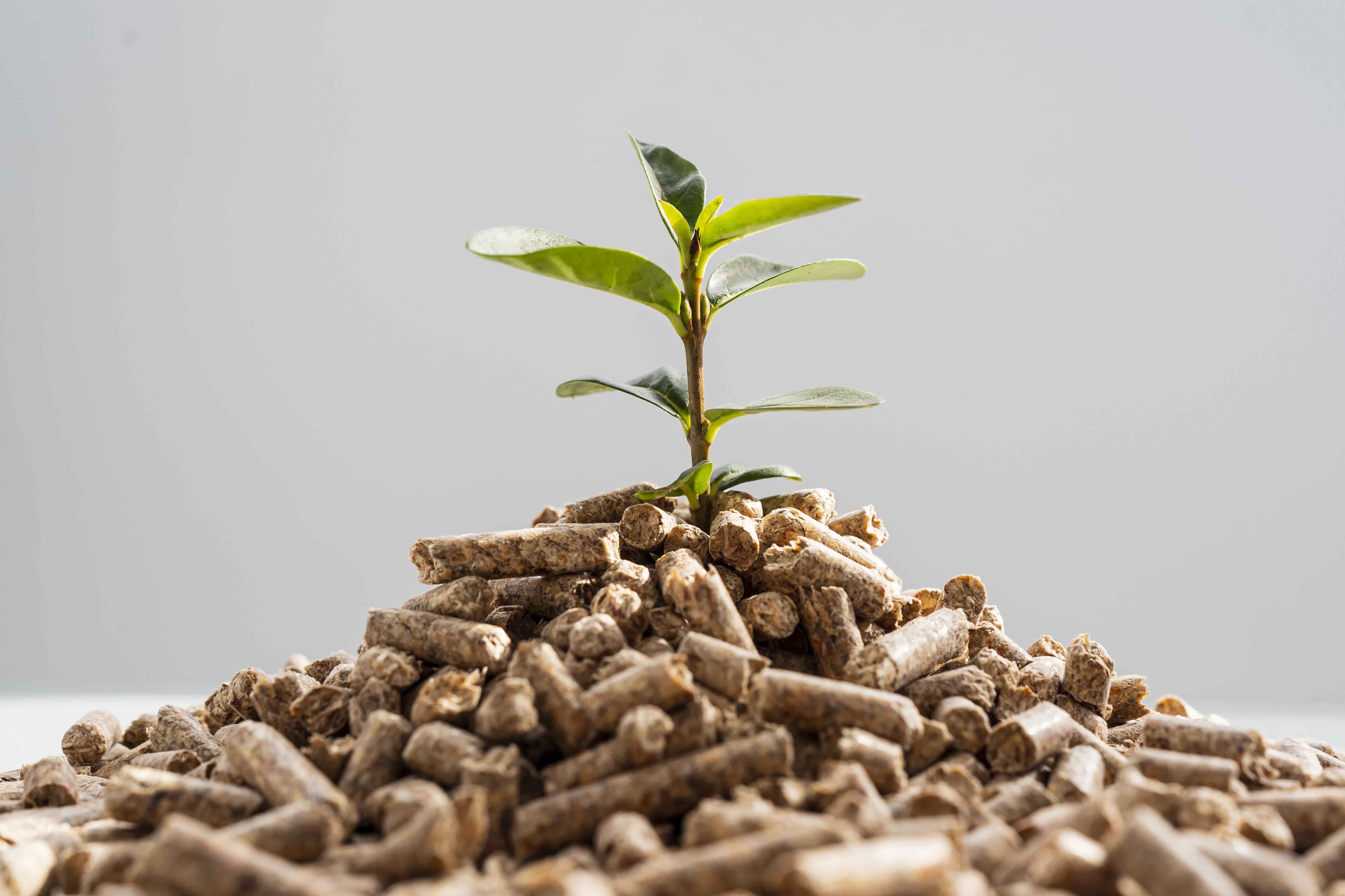 Carbon Capture Market Forecast: Policy Shifts Fuel Global Growth