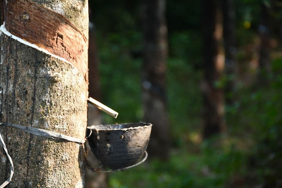 Environment Research Finds Gaps in Sustainability Reporting of Tire Brands
