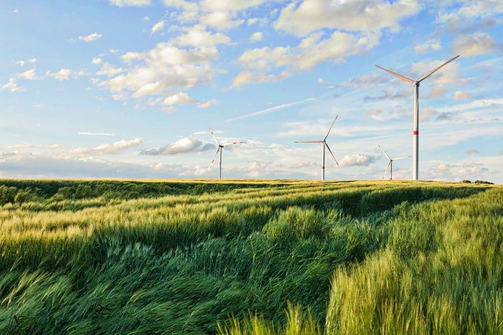 e& Makes Strides Towards Net-Zero Emissions by 2030