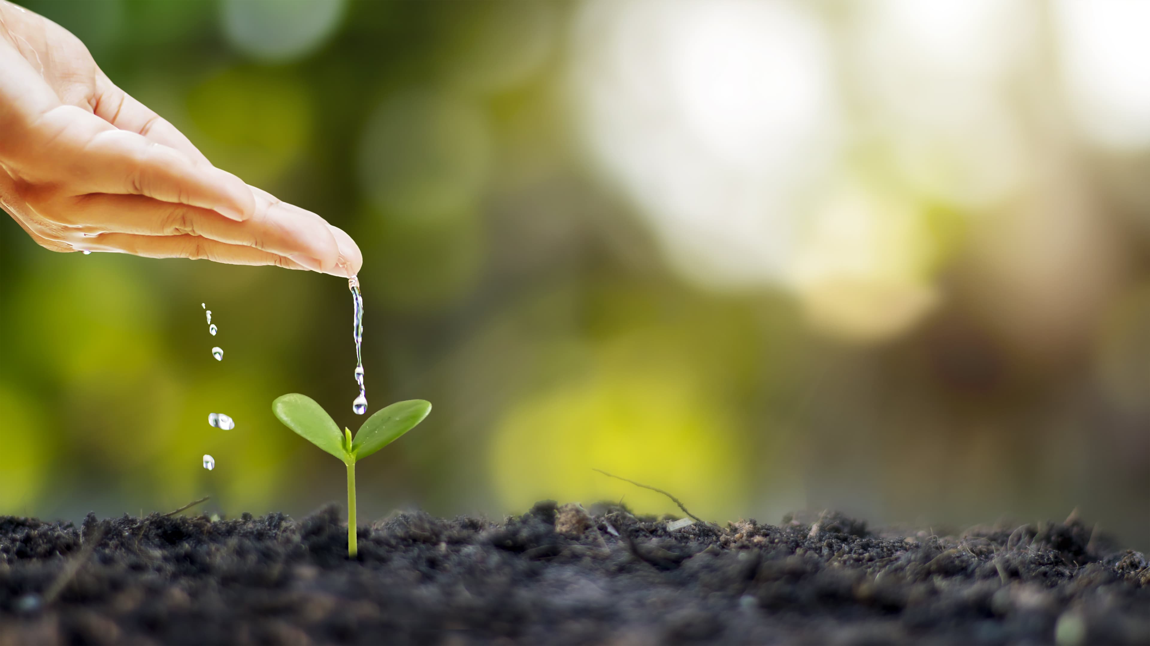 Water Conservation in the Age of AI' Series 1, Episode 3