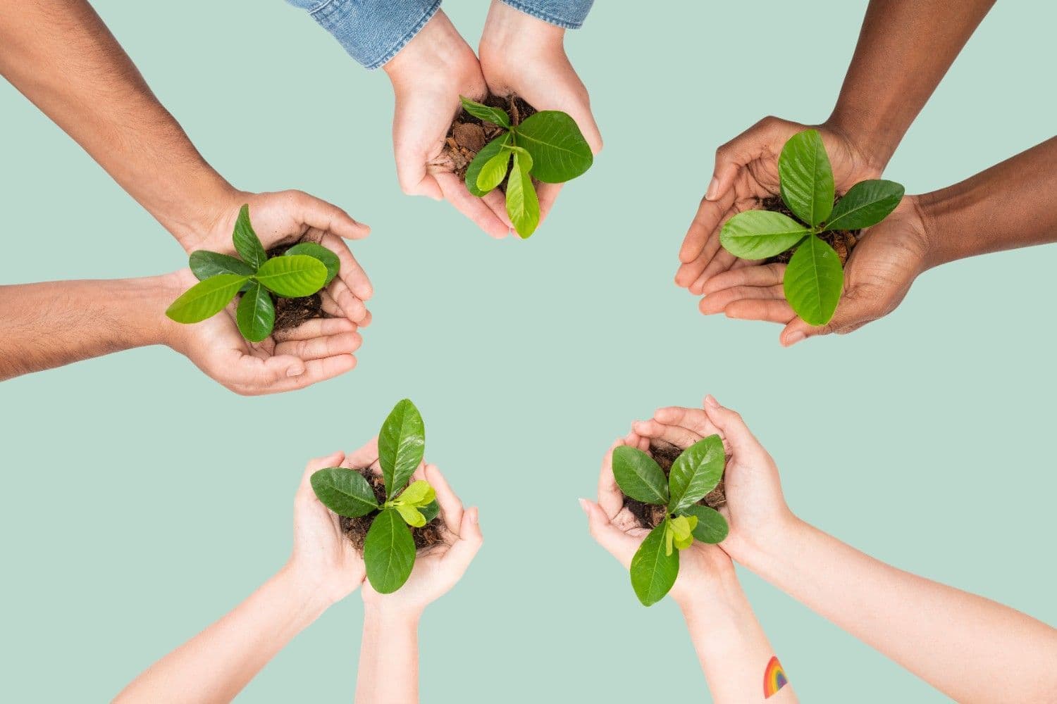 Applied Sustainability for Technical Managers Specialization