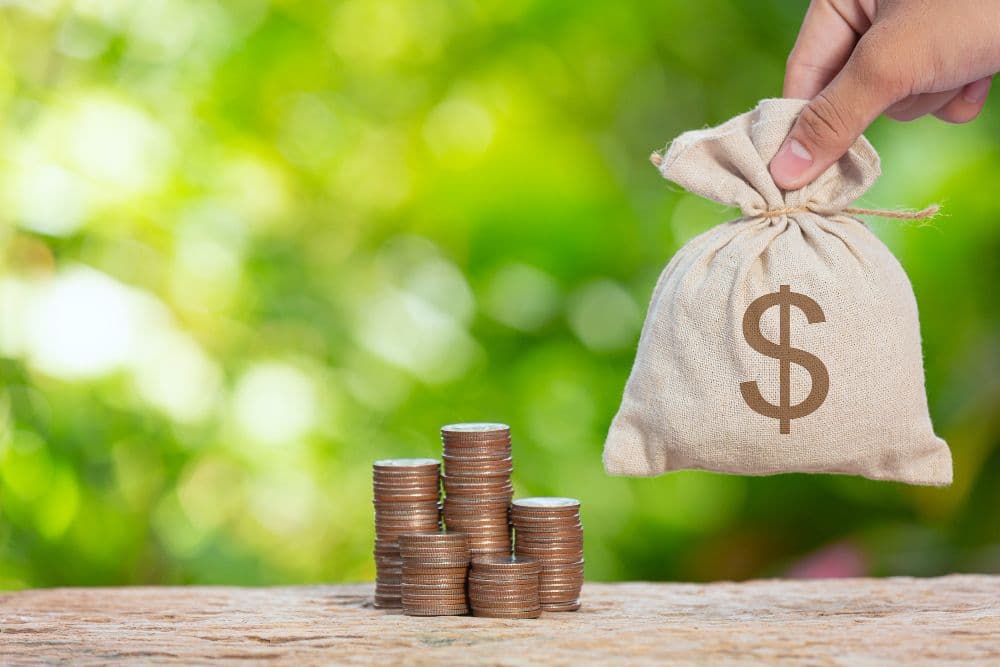 Need for Innovative Green Finance