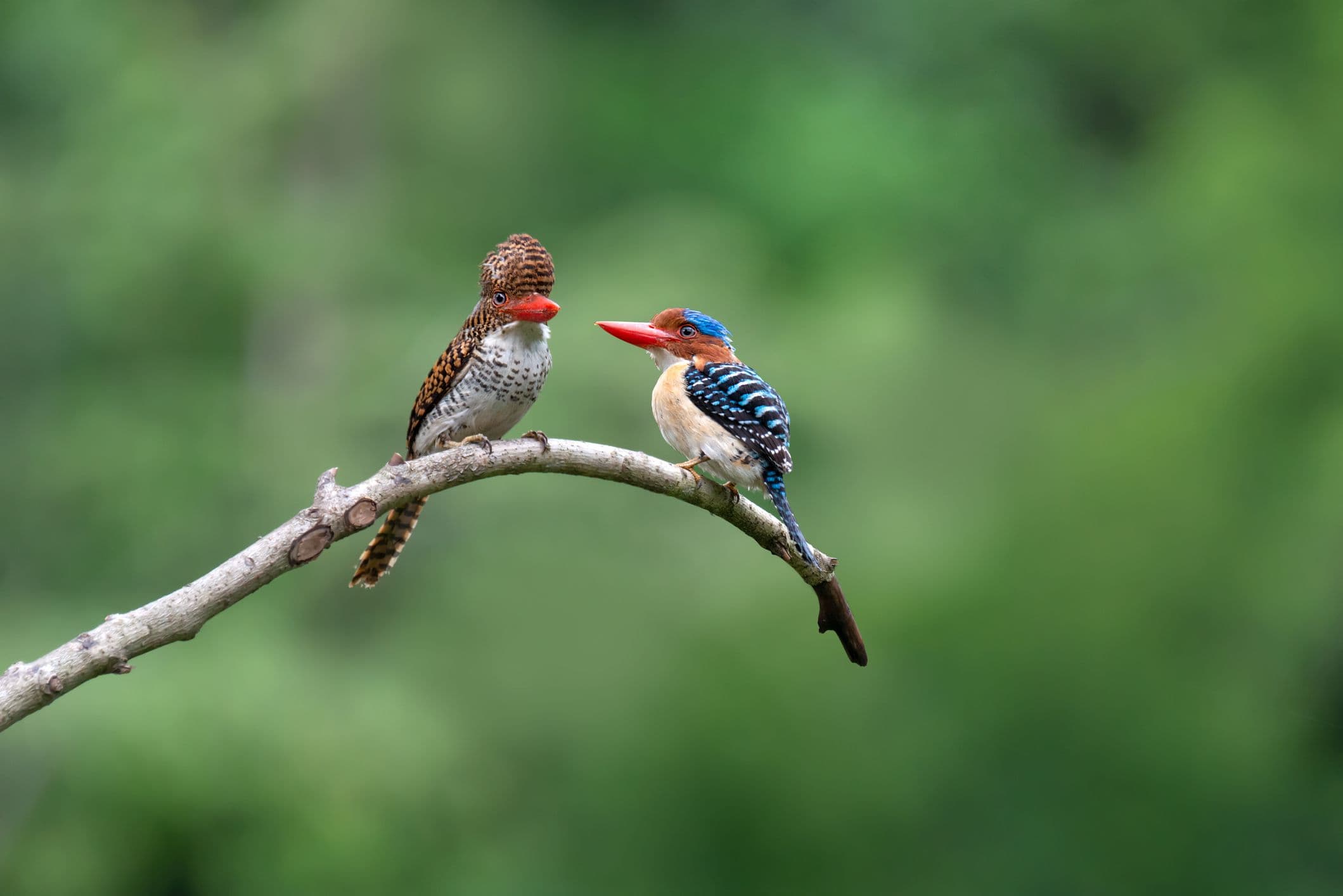 GRI and TNFD Partner for Simplified Nature Reporting
