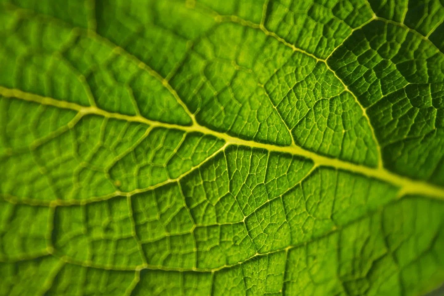 China Releases First ESG Disclosure Standards