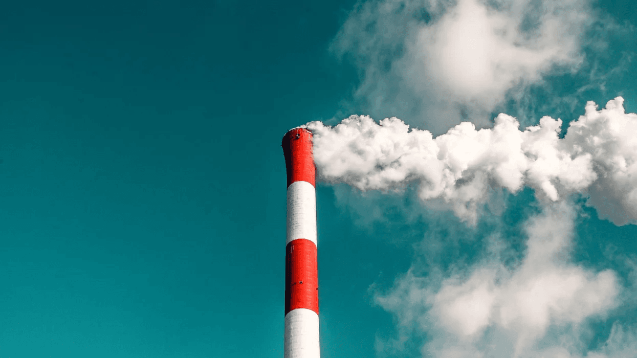 Google-backed Solutions to Help SMEs Track Carbon Emissions