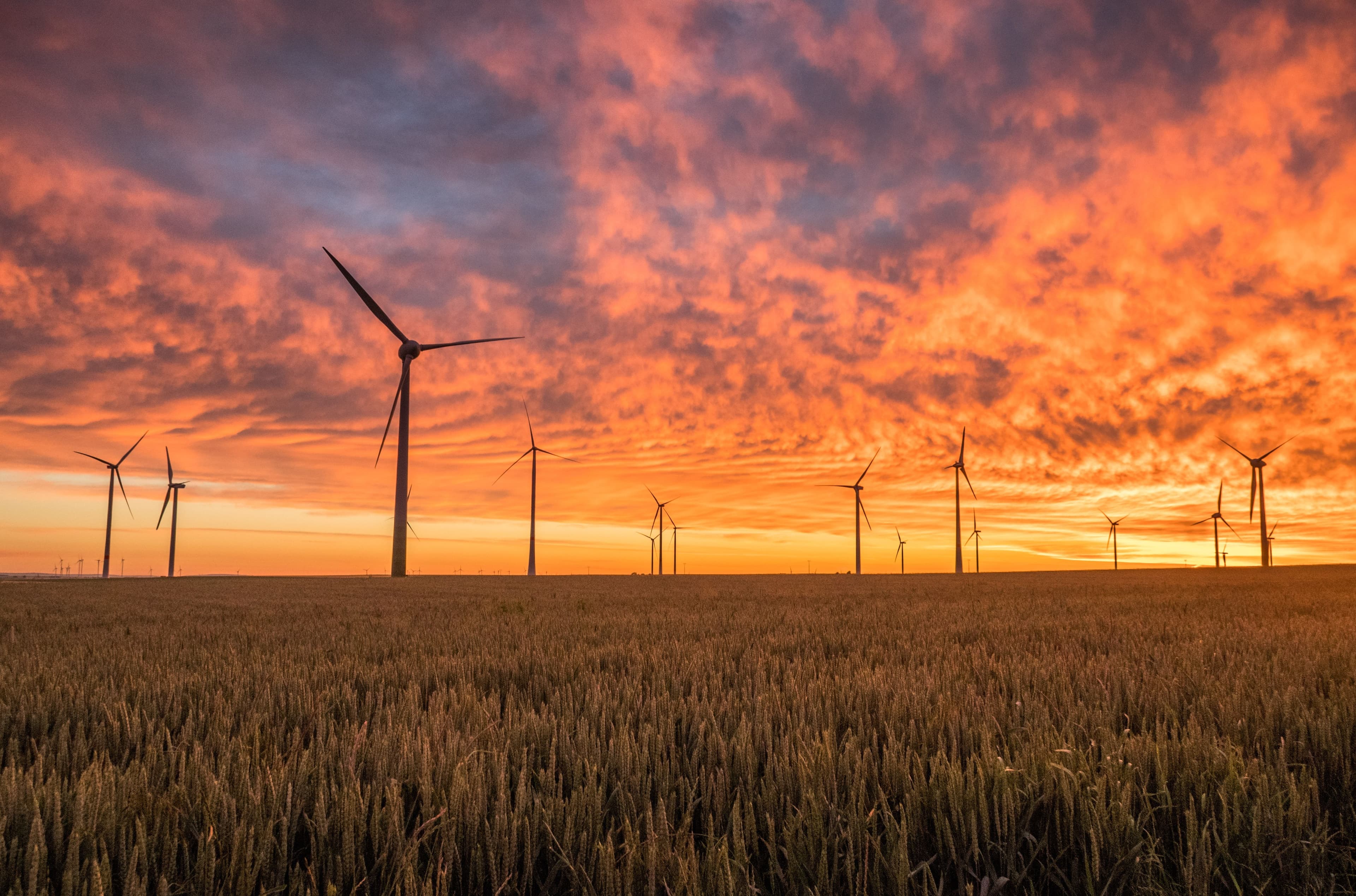 Study: More African Nations are Implementing ESG Finance Policies