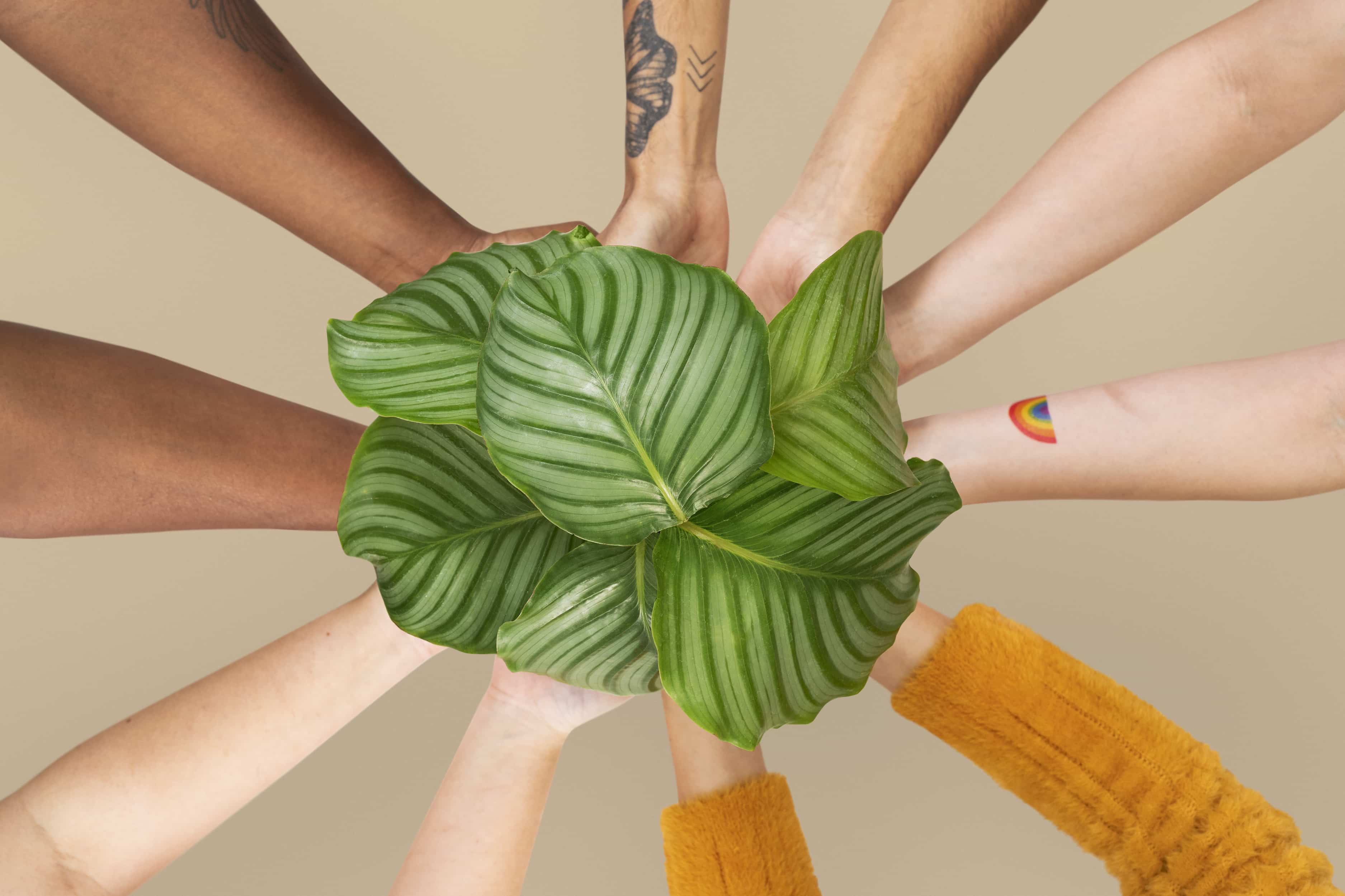 DEI in ESG: Diversity, Equity & Inclusion Meaning & Reporting
