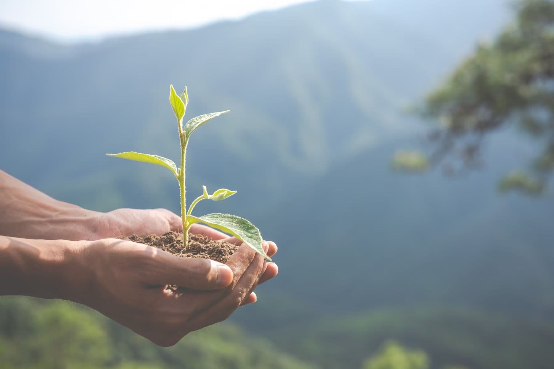 What Are 3 Issues That Impact Sustainability?