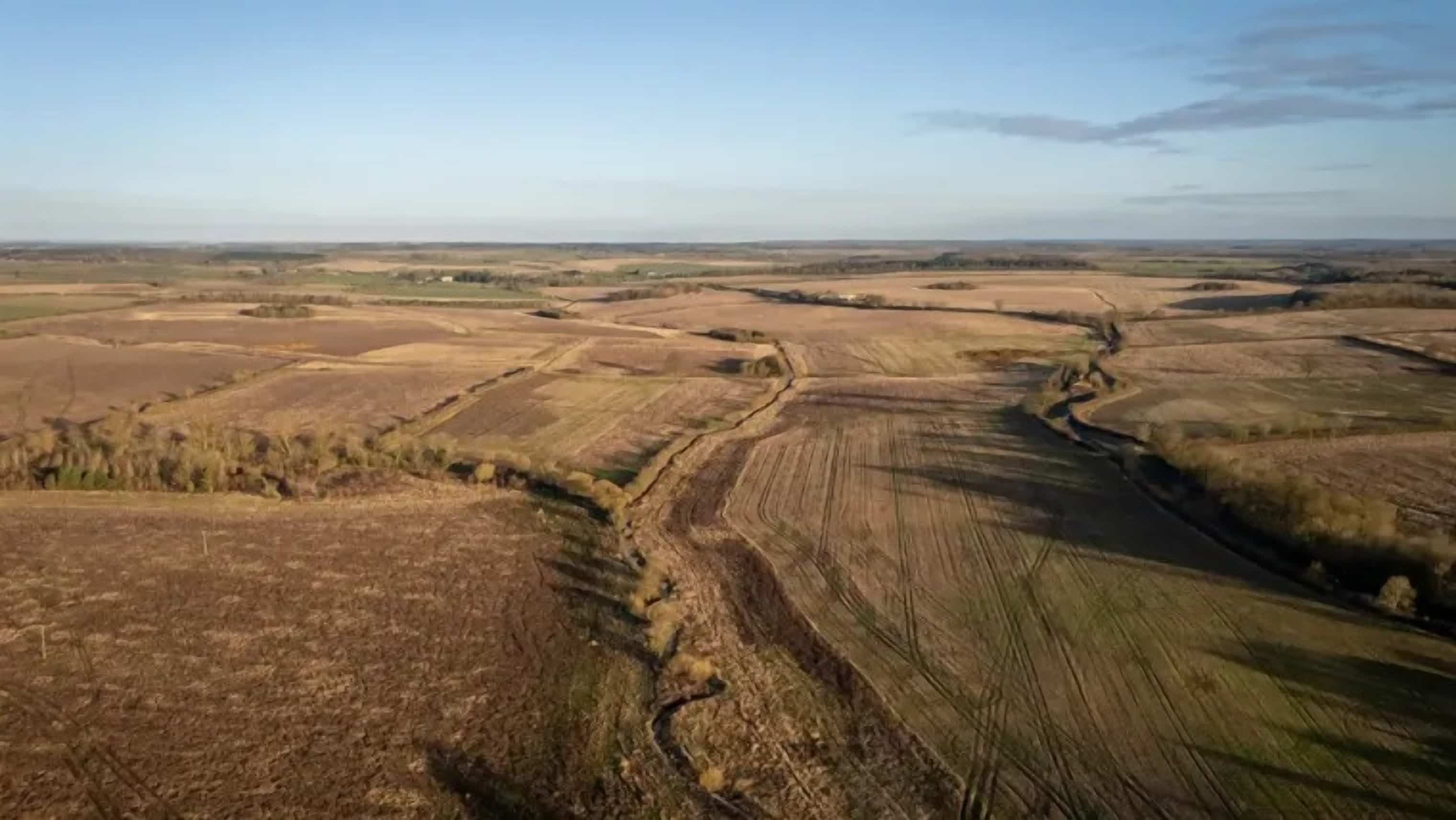 Arup Invests in Nature-Based Carbon Removal Projects in UK