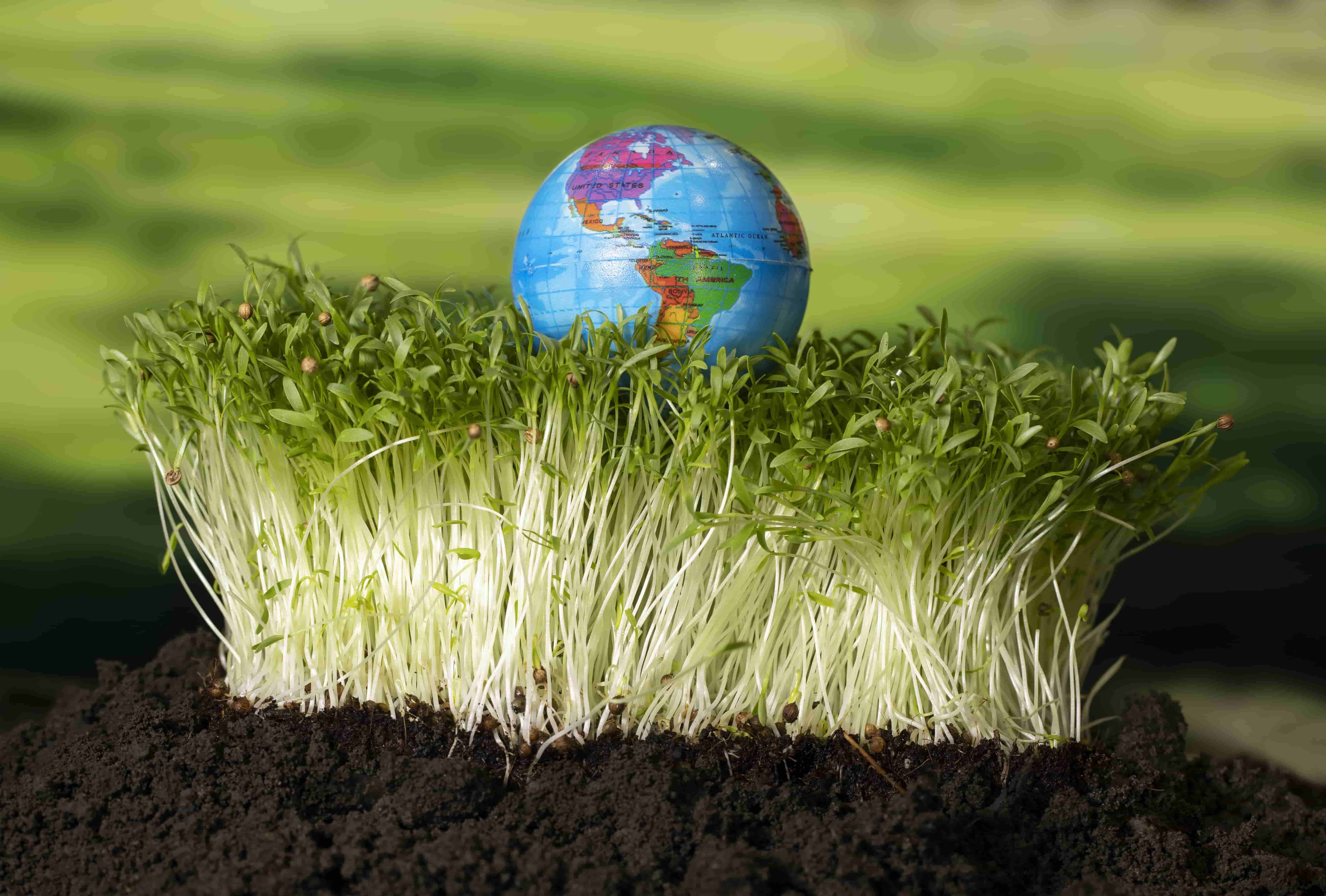 Kew Gardens’ Carbon Garden Brings Climate Change to Life