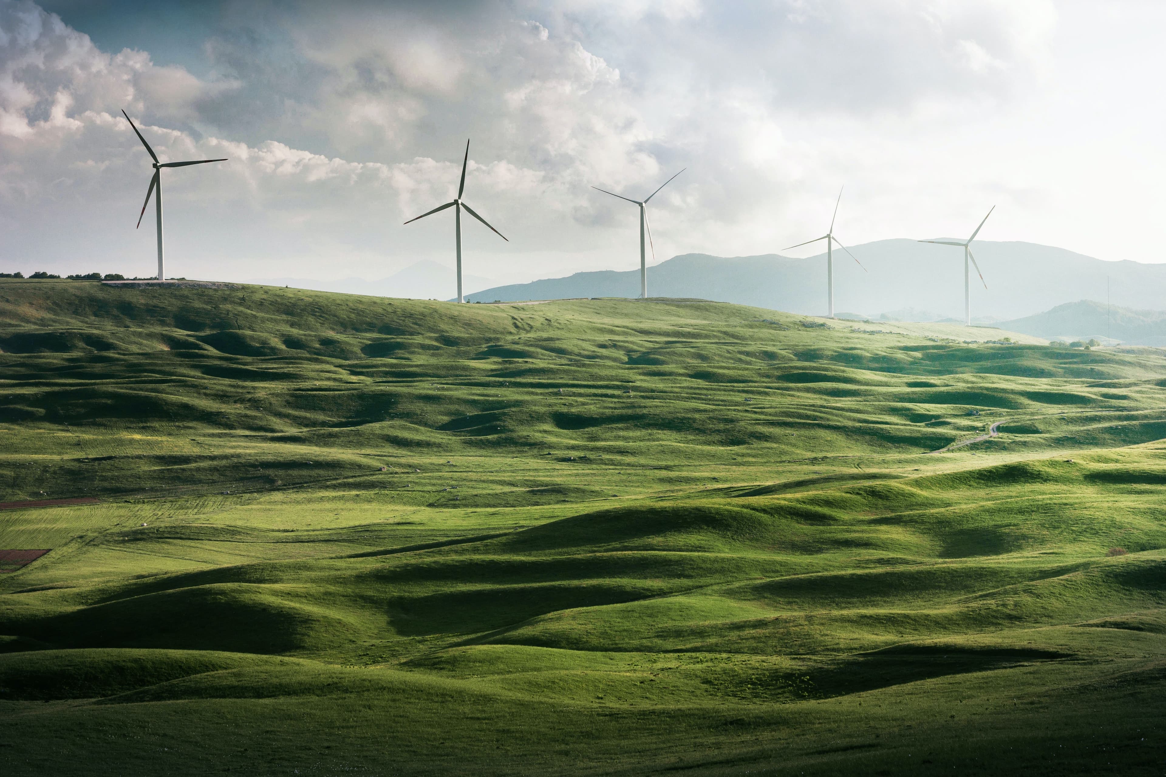 Sustainability in a Fast-Changing Business Environment