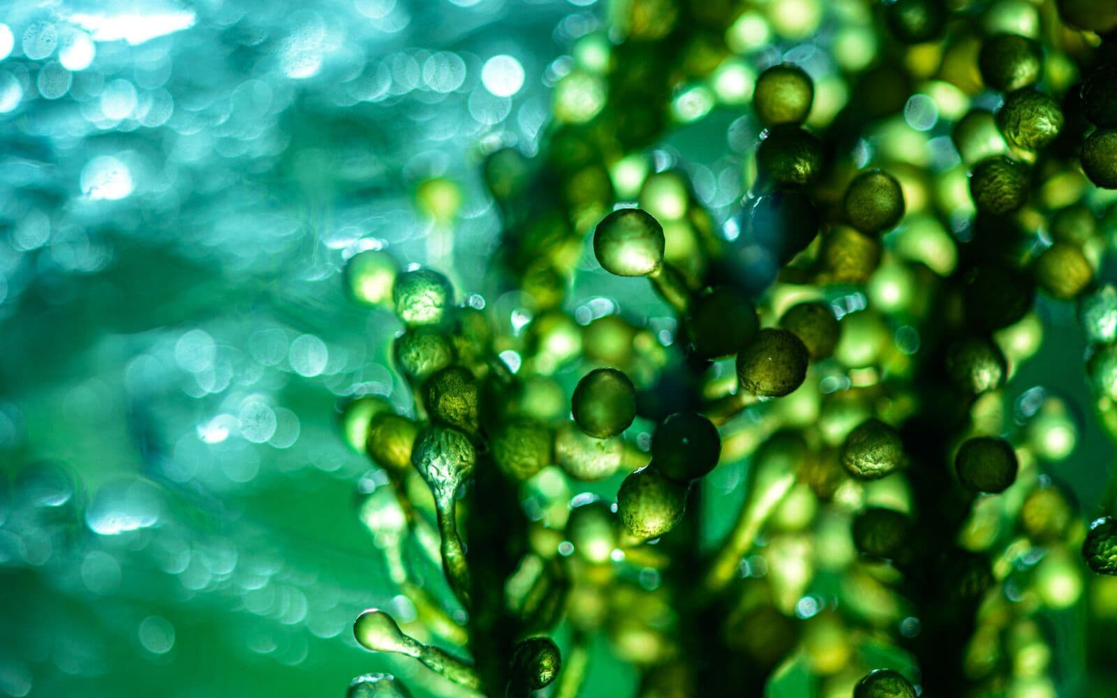 Fear of Greenwashing is a Barrier to ESG Investing