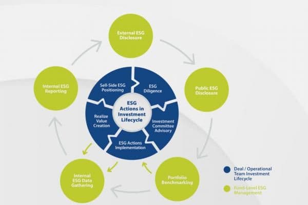ESG - Decision-Making & Management Reporting