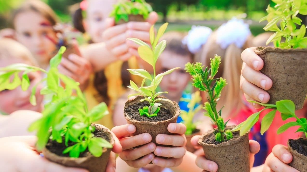 Compass Group Issues First Sustainable Bonds to Achieve Net Zero Goals