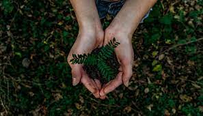 Starting and Managing Corporate Sustainability and ESG Strategy