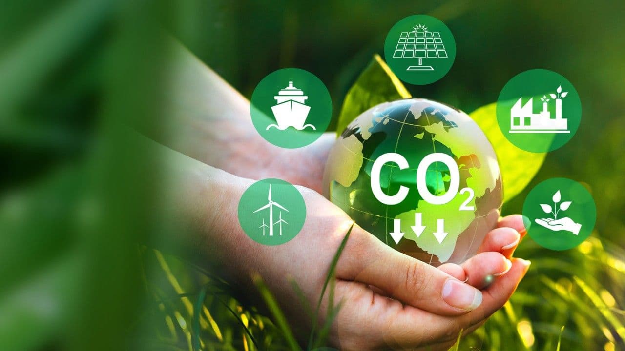 Carbon Accounting for Companies 2024