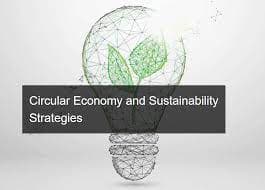 Circular Economy and Sustainability Strategies