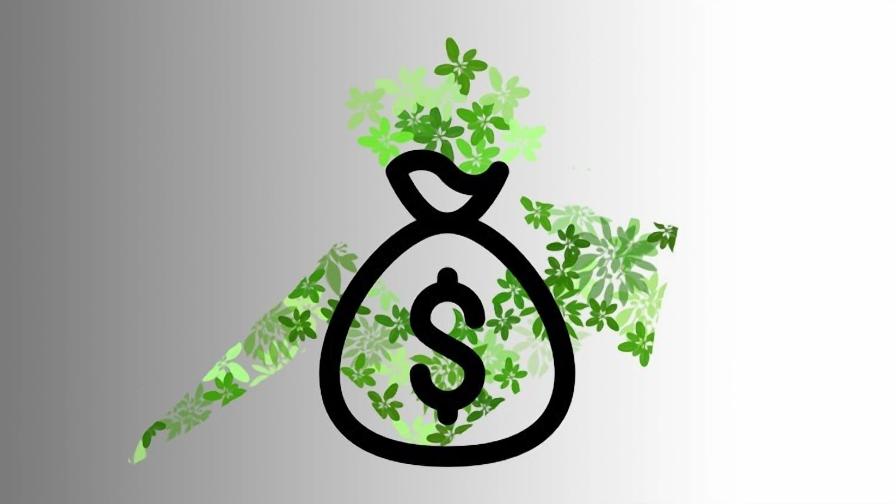 How Sustainability is Changing The Financial Sector