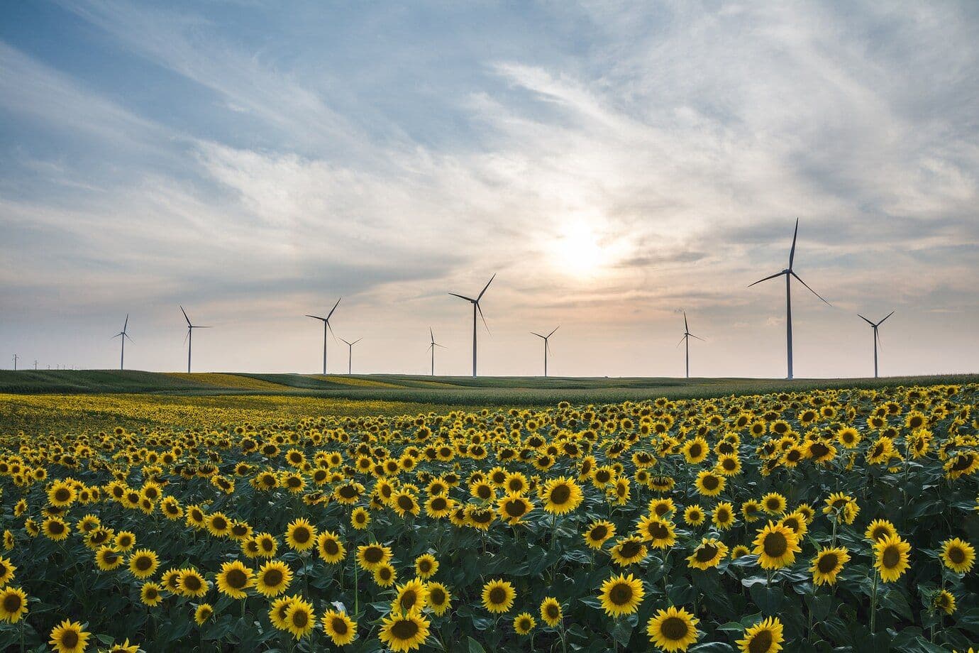 StormFisher, MAN Energy Solutions Expand e-Fuel Production in North America