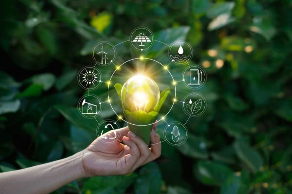 Working for a sustainable future: concepts and approaches