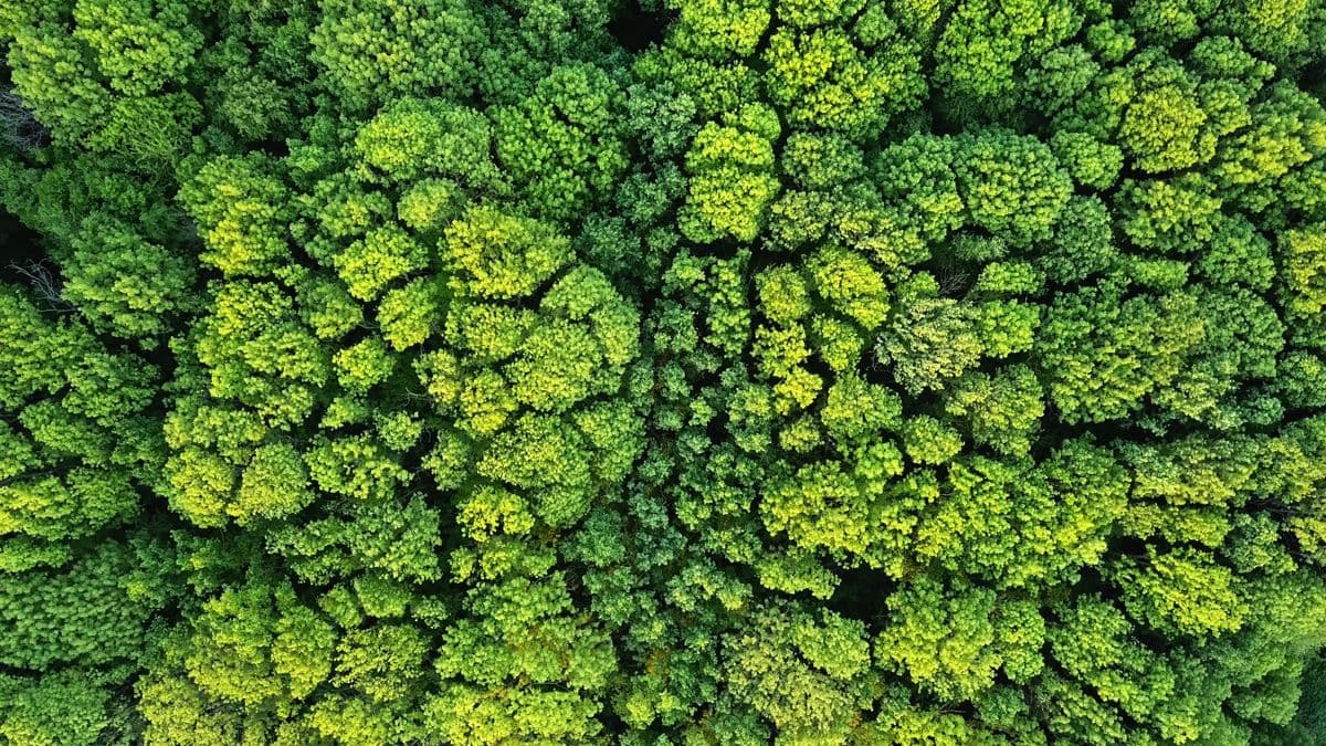AIM Group Publishes First Sustainability Report