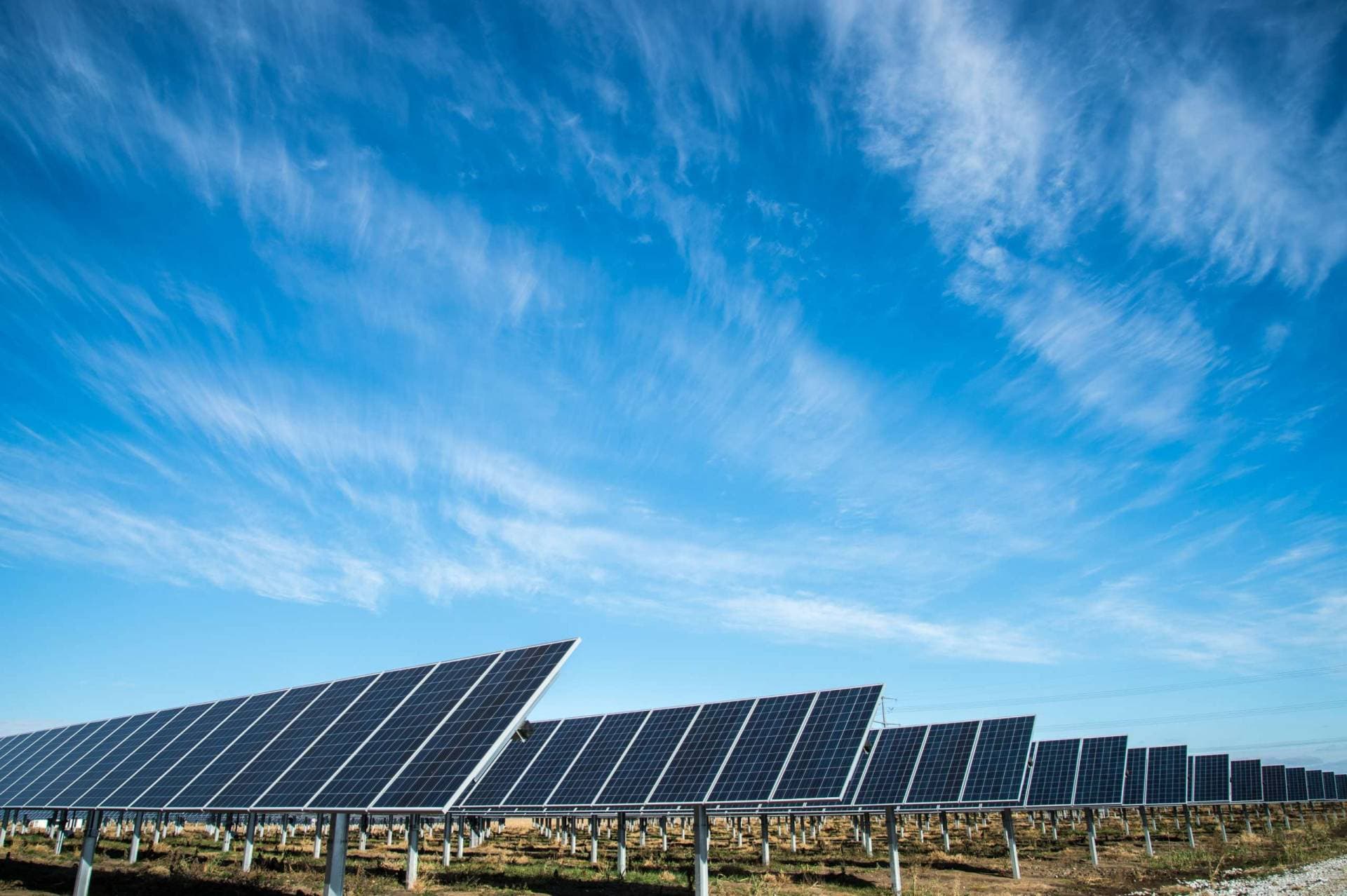 Apple, Acumen Drive Clean Energy Innovation in India