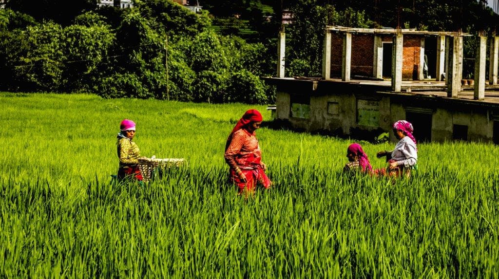 Integrating Climate Risk Information into NAPs