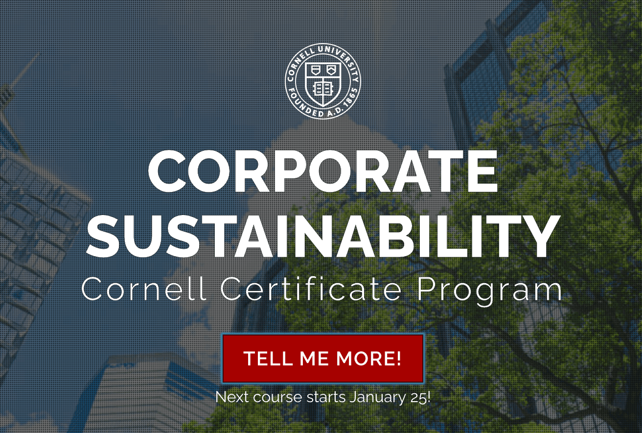 Corporate Sustainability Course